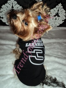 Tričko Dale Earnhardt - oblečenie a móda pre psov