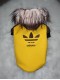 Zimná štýlová bundička Adidos Yellow - oblečenie a móda pre psov