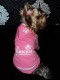 Tepláková súprava Princess Pink - oblečenie a móda pre psov