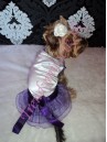 Luxusné šaty Glamour - oblečenie a móda pre psov