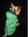 Zimná bundička s menom psíka II - oblečenie a móda pre psov