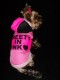 Jarná bunda Preety in pink - oblečenie a móda pre psov