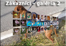 Spokojní zákazníci 2