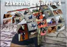 Spokojní zákazníci 3