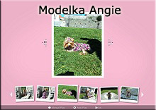 Angie modleka