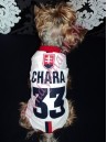 Slovenský hokejový dres s menom - oblečenie a móda pre psov