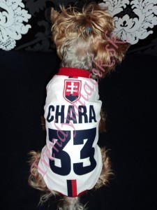 Slovensk&yacute; hokejov&yacute; dres s menom - oblečenie a m&oacute;da pre psov