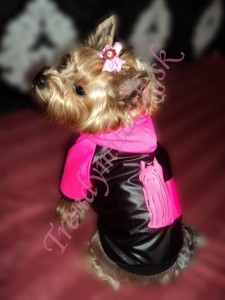 Jarn&aacute; bundička YORKIE DESIGN - oblečenie a m&oacute;da pre psov