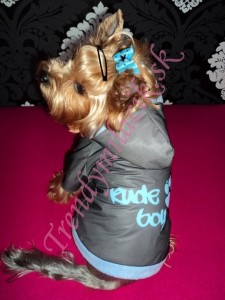 Jarn&aacute; bundička Rude boy - oblečenie a m&oacute;da pre psov