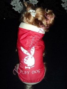 Jarn&aacute; bundička PLAY DOG - Oblečenie a m&oacute;da pre psov