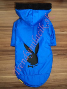 Jarn&aacute; bundička Playboy - oblečenie a m&oacute;da pre psov