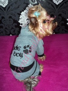 Vel&uacute;rov&aacute; s&uacute;prava Rude boy - oblečenie a m&oacute;da pre psov