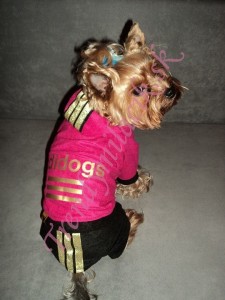 Velúrová súprava Adidogs Black & Pink - oblečenie a móda pre psov