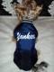 Vesta Yankees