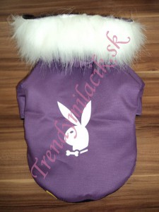 Zimn&aacute; bunda Play boy - Oblečenie pre psov