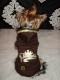 Súprava PRINCESS