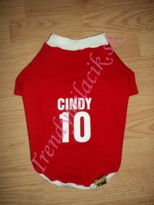 Navrhnite si dres pre ps&iacute;ka - oblečenie a m&oacute;da pre psov