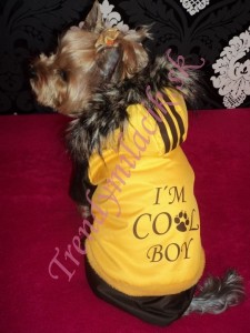Zimný overal I´M COOL BOY - oblečenie a móda pre psov