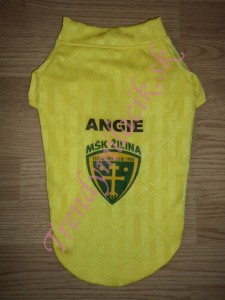 Navrhnite si dres pre ps&iacute;ka - oblečenie a m&oacute;da pre psov