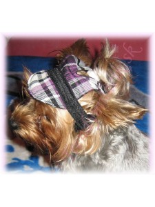 &Scaron;iltovka K&Aacute;RO - oblečenie a m&oacute;da pre psov